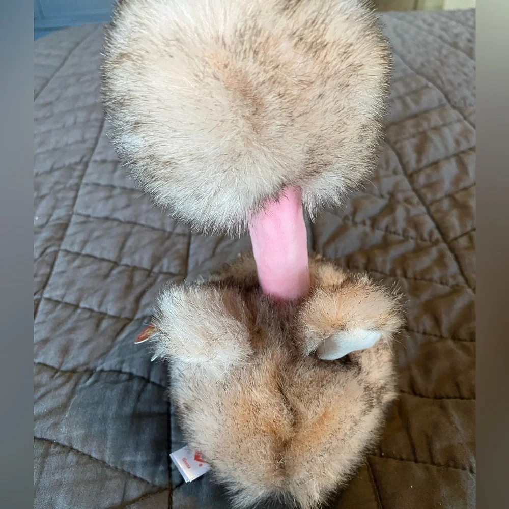 Ty Beanie Boos - HENNA the Brown‎ Tipped Ostrich Plush Toy (Medium 9 Inch)